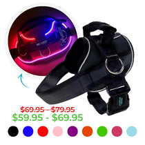 NEW! NightSafe LED Light Up Dog Harness 2.0