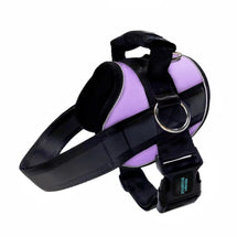 Lavender Joyride no-pull dog harness with handle, buckle, and metal leash ring