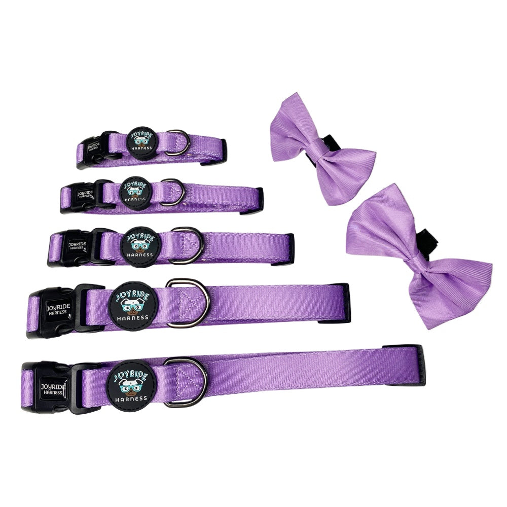 Lavender Collar ( + free removable bowtie )
