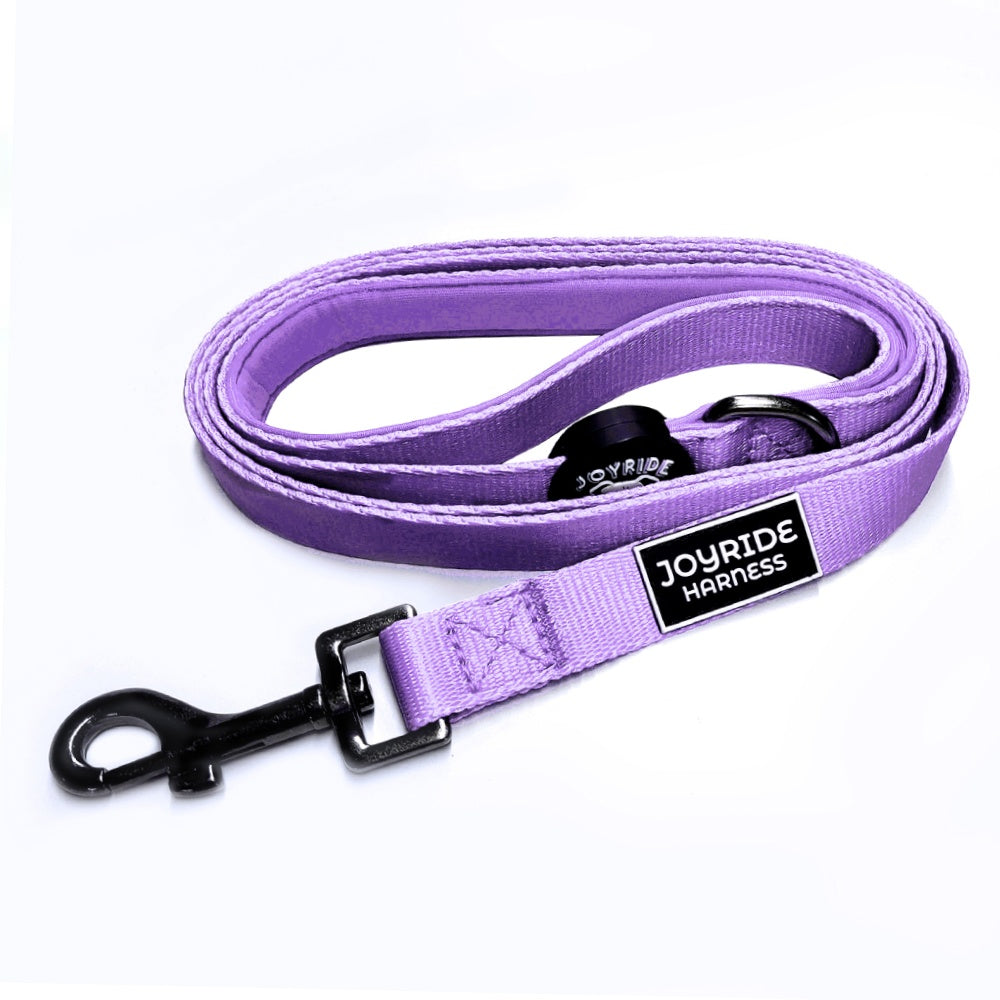 Lavender Matching Dog Leash