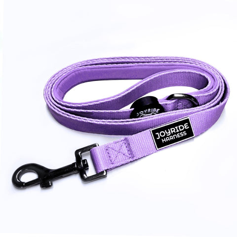 Lavender Breeze Matching Dog Leash