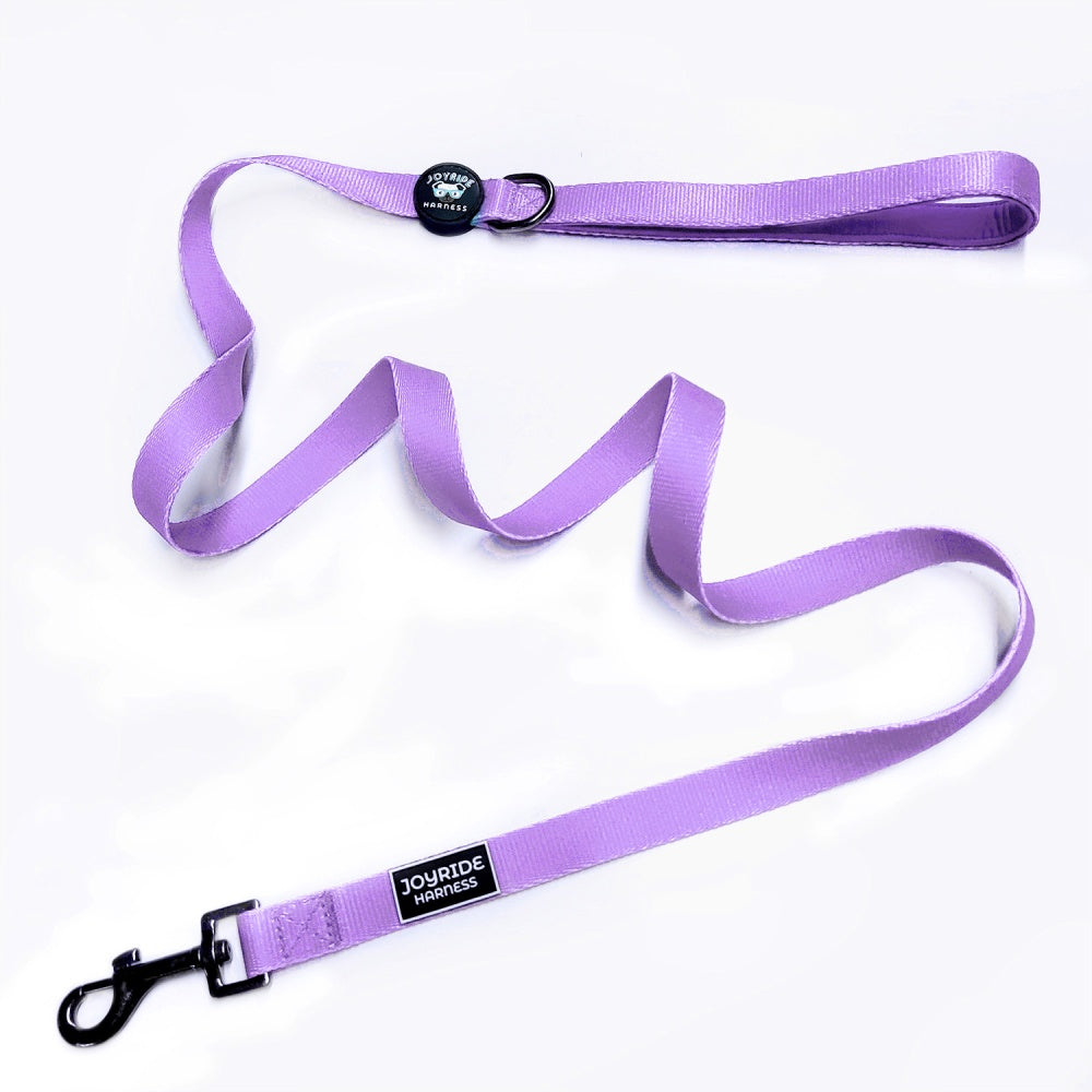 Lavender Matching Dog Leash