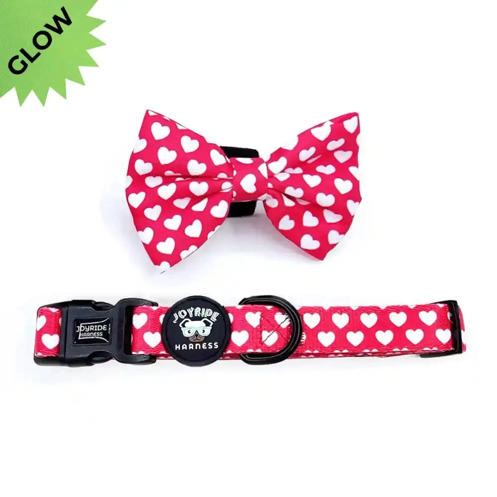 Collar + Free Removable Bowtie (Patterns)