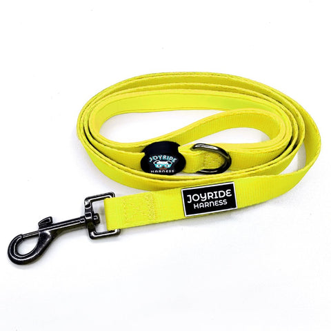 Sunshine Yellow Matching Dog Leash