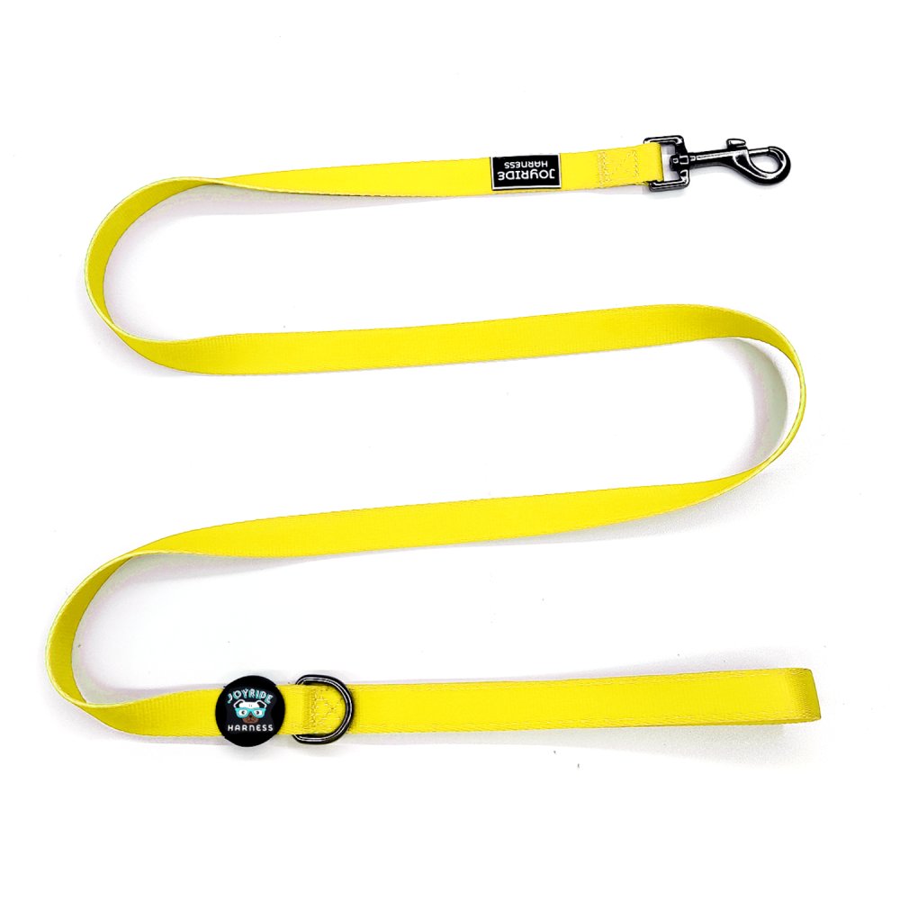 Sunshine Yellow Matching Dog Leash