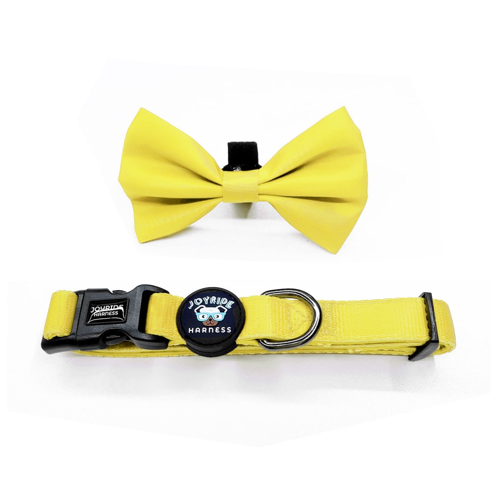 Sunshine Yellow Collar ( + free removable bowtie )