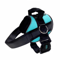 Turquoise Joyride no-pull dog harness with handle, buckle, and metal leash ring