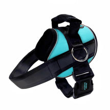 Turquoise Joyride no-pull dog harness with handle, buckle, and metal leash ring