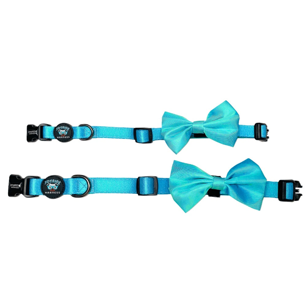 Teal Collar ( + free removable bowtie )