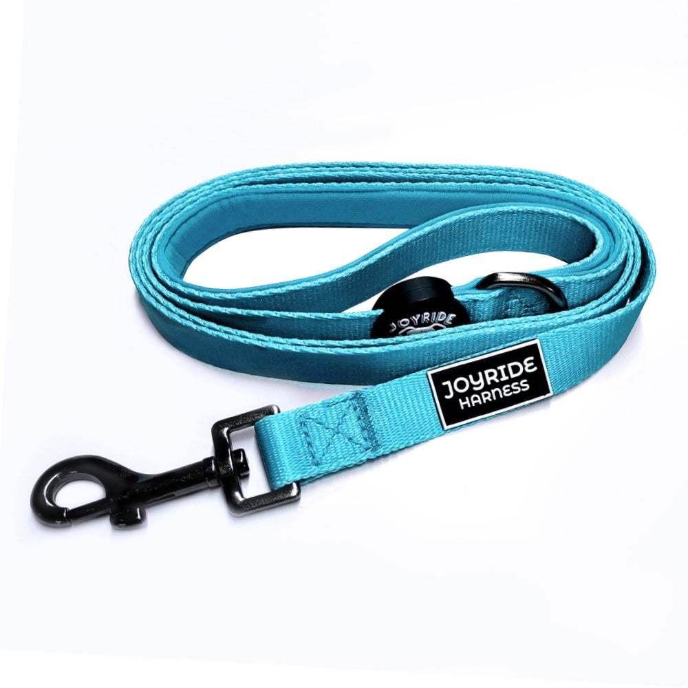Teal Ocean Matching Dog Leash