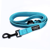 Teal Ocean Matching Dog Leash