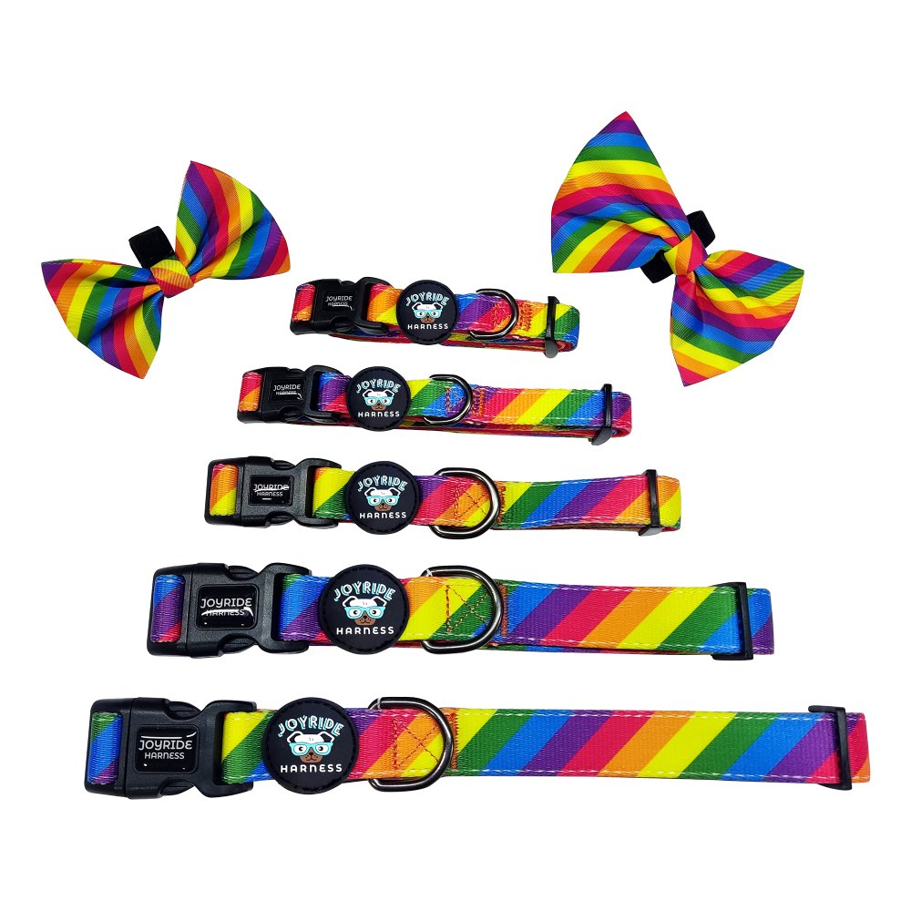 Rainbow Collar ( + free removable bowtie )