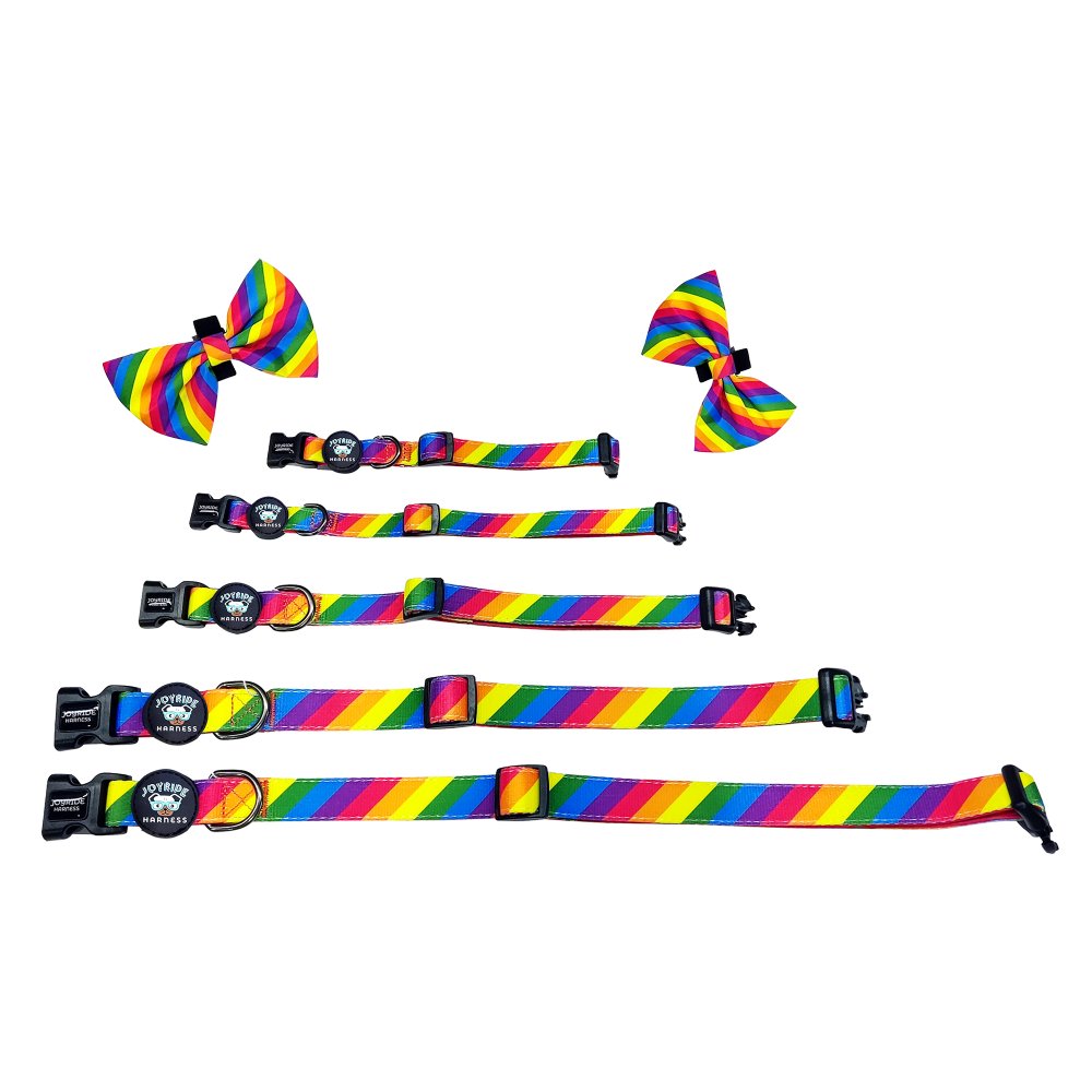 Rainbow Collar ( + free removable bowtie )