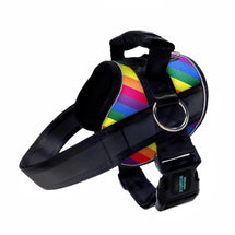 Rainbow Joyride B Grade Premium Advanced Dog Harness 2.0
