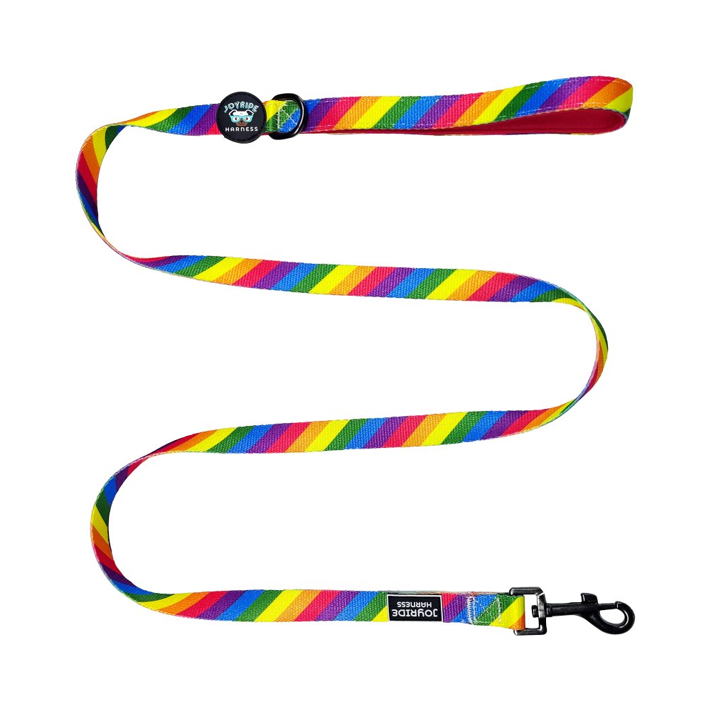 Rainbow Matching Dog Leash