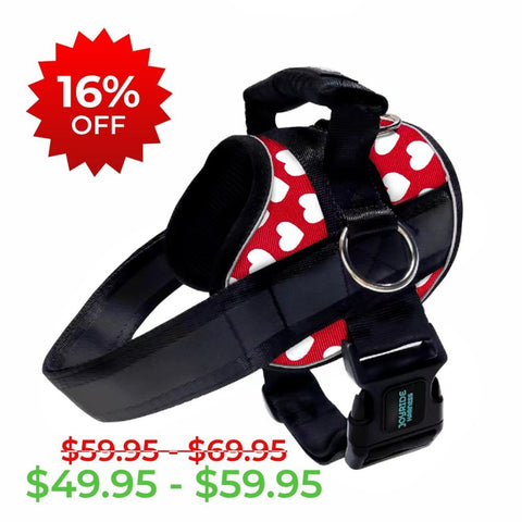 Red Hearts Joyride Premium Advanced Dog Harness 2.0