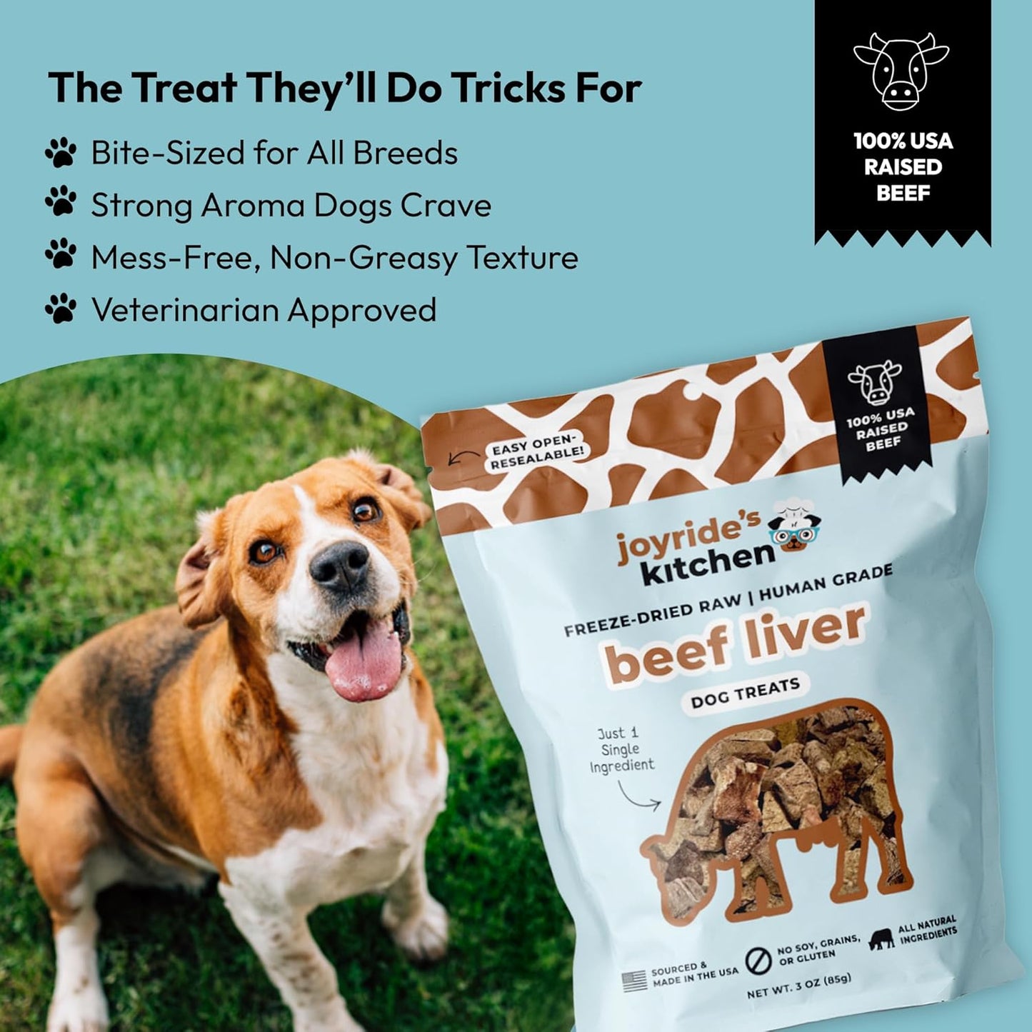 Joyride's Kitchen Premium Beef Liver Freeze-Dried Raw Dog Treats