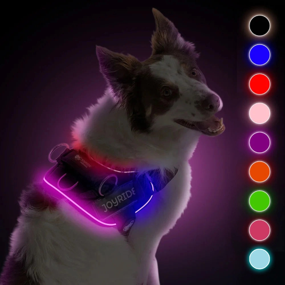 NEW! NightSafe LED Light Up Dog Harness 2.0