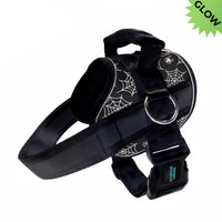 Upsell Product 3