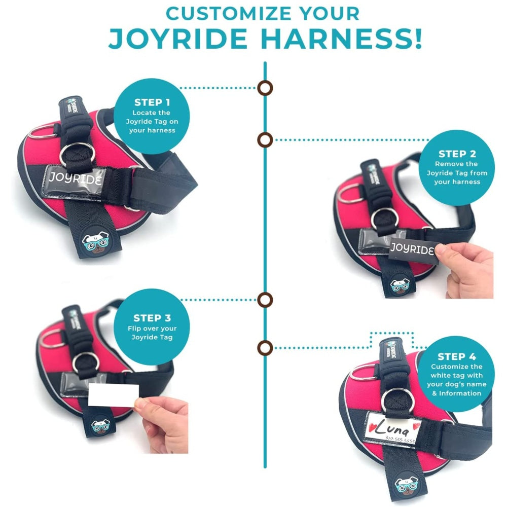 Safety harness with ID tag and LED lights