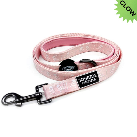 Pink Skulls Matching Dog Leash