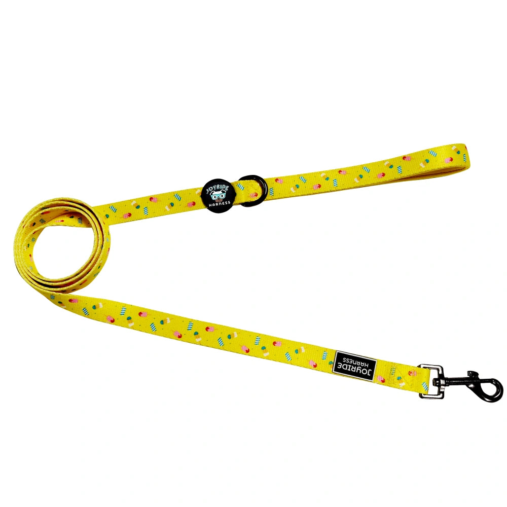 Popsicle Party Limited Edition Matching Dog Leash