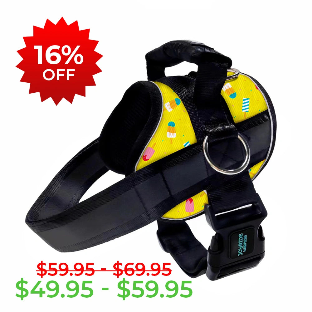 Popsicle Party Limited Edition Joyride Premium Advanced Dog Harness 2.0