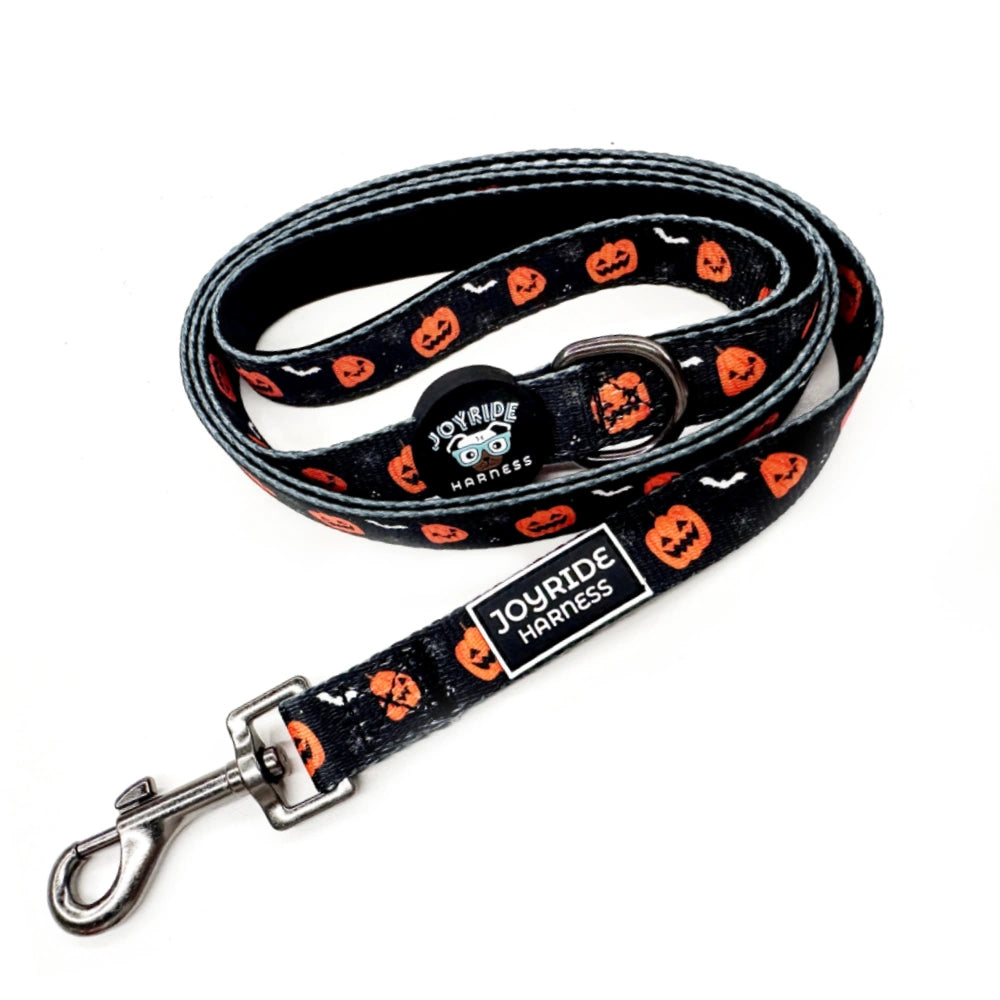 Pumpkin Patch Limited Edition Joyride Premium Advanced Dog Harness 2.0 | Bundle