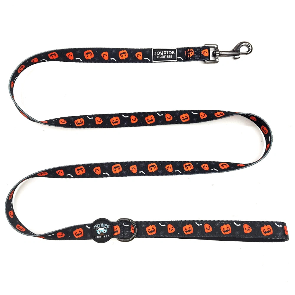 Pumpkin Patch Limited Edition Joyride Premium Advanced Dog Harness 2.0 | Bundle