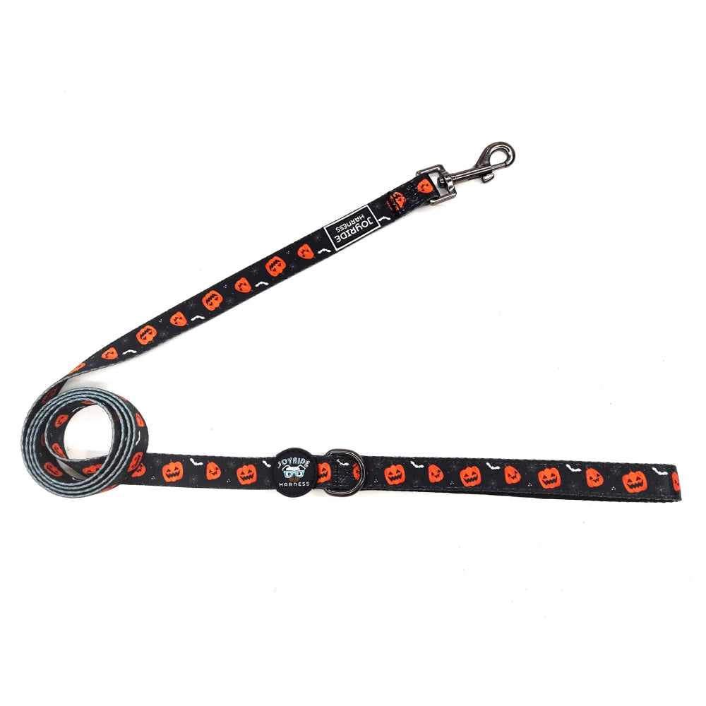 Pumpkin Patch Limited Edition Joyride Premium Advanced Dog Harness 2.0 | Bundle
