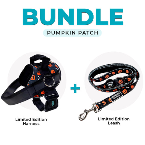 Pumpkin Patch Limited Edition Joyride Premium Advanced Dog Harness 2.0 | Bundle