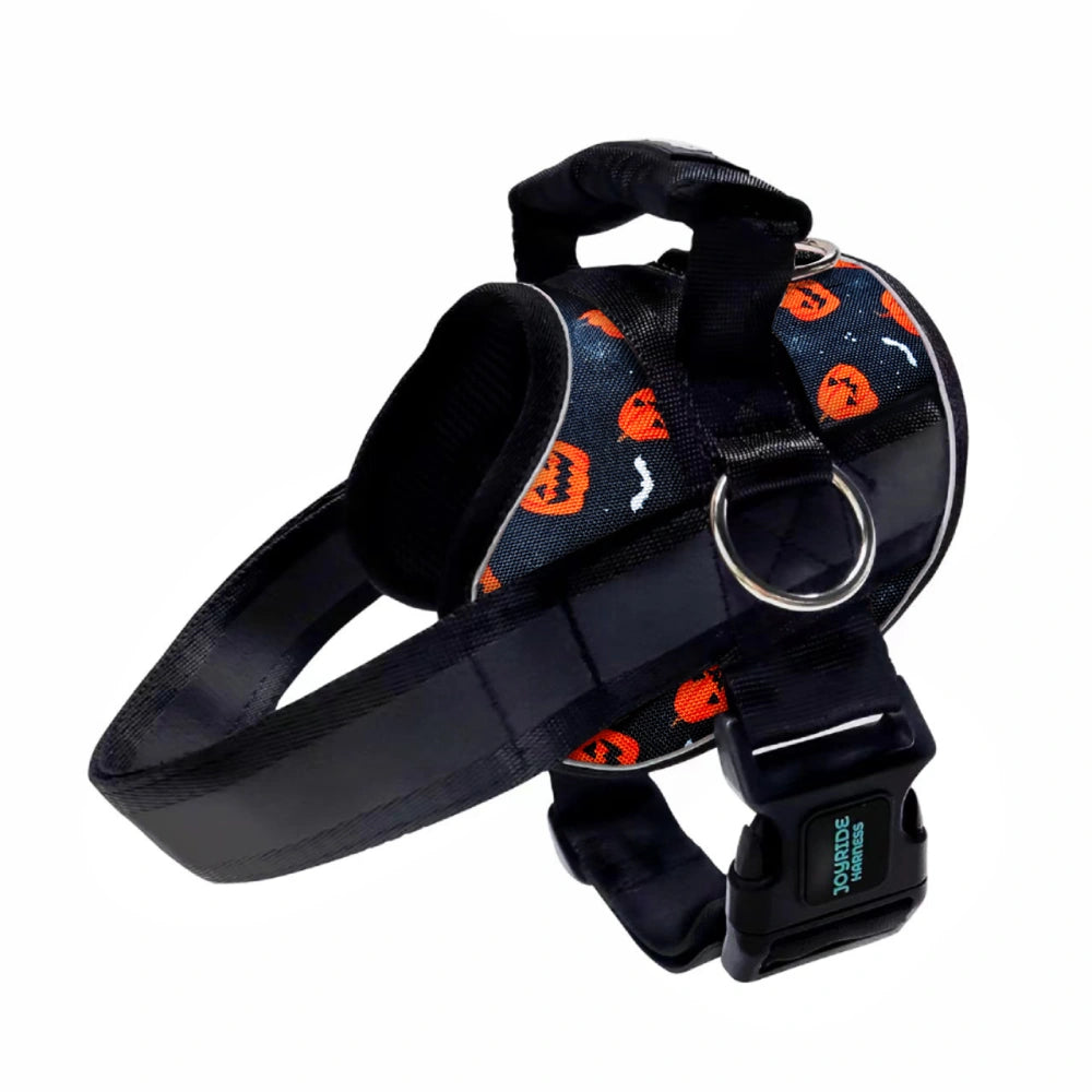 Pumpkin Patch Limited Edition Joyride Premium Advanced Dog Harness 2.0 | Bundle