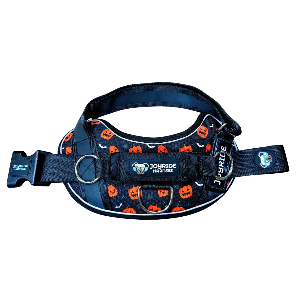 Pumpkin Patch Limited Edition Joyride Premium Advanced Dog Harness 2.0 | Bundle