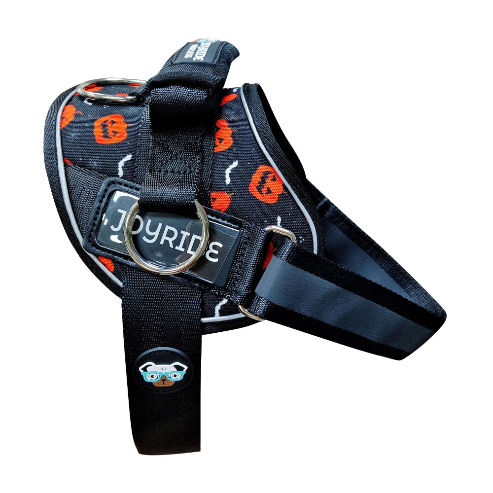Pumpkin Patch Limited Edition Joyride Premium Advanced Dog Harness 2.0 | Bundle