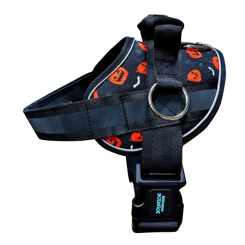 Pumpkin Patch Limited Edition Joyride Premium Advanced Dog Harness 2.0 | Bundle