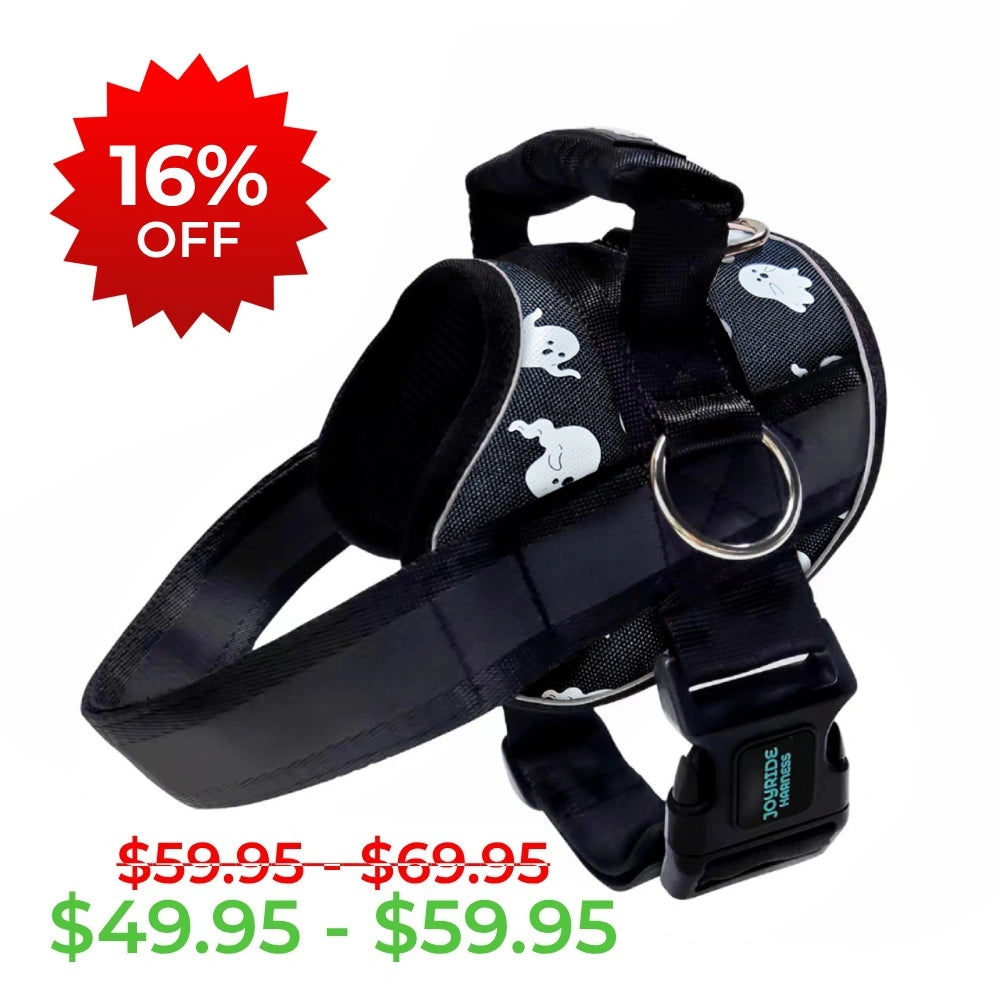 Spooky Ghost Limited Edition Joyride Premium Advanced Dog Harness 2.0 | Bundle