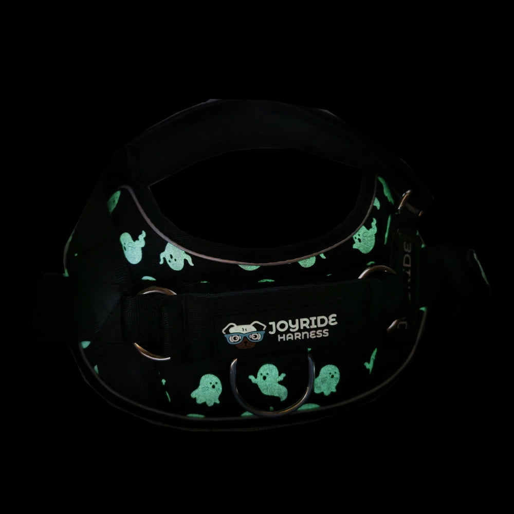 Spooky Ghost Limited Edition Joyride Premium Advanced Dog Harness 2.0 | Bundle