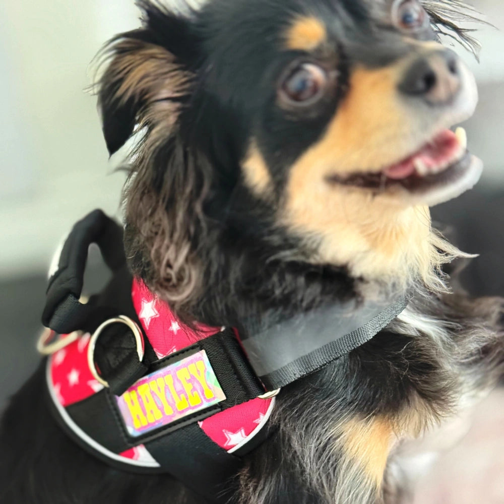 Spring Exclusive Custom Name Tag