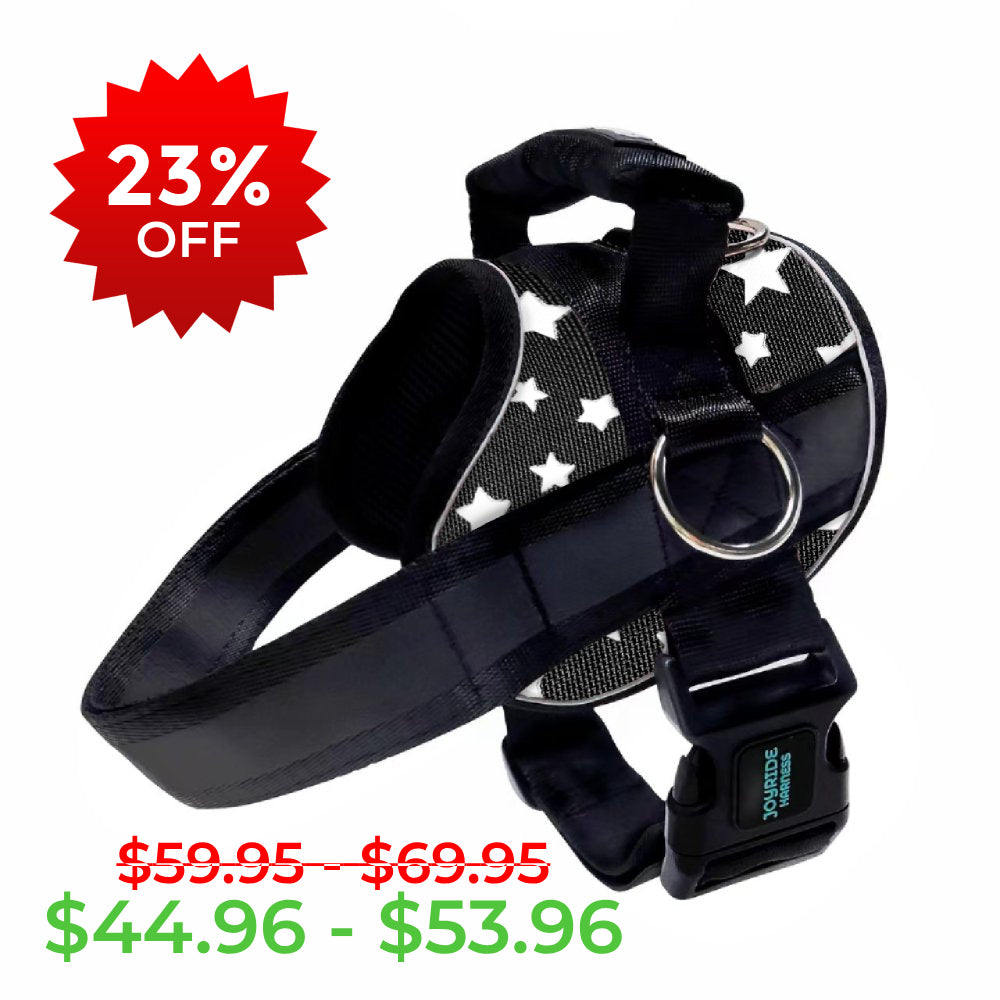 Starry Night B Grade Joyride Premium Advanced Dog Harness 2.0