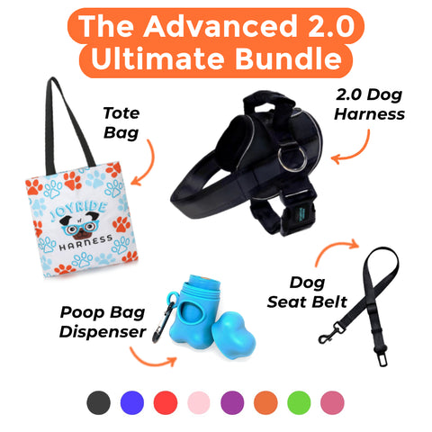 Joyride Premium Advanced Dog Harness 2.0 | Bundle