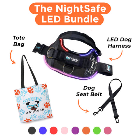 NightSafe LED Light Up Dog Harness 2.0 | Bundle