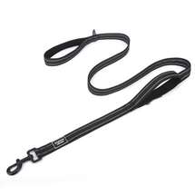 2 in 1: Dog Leash/Seatbelt Combo | 15% Off