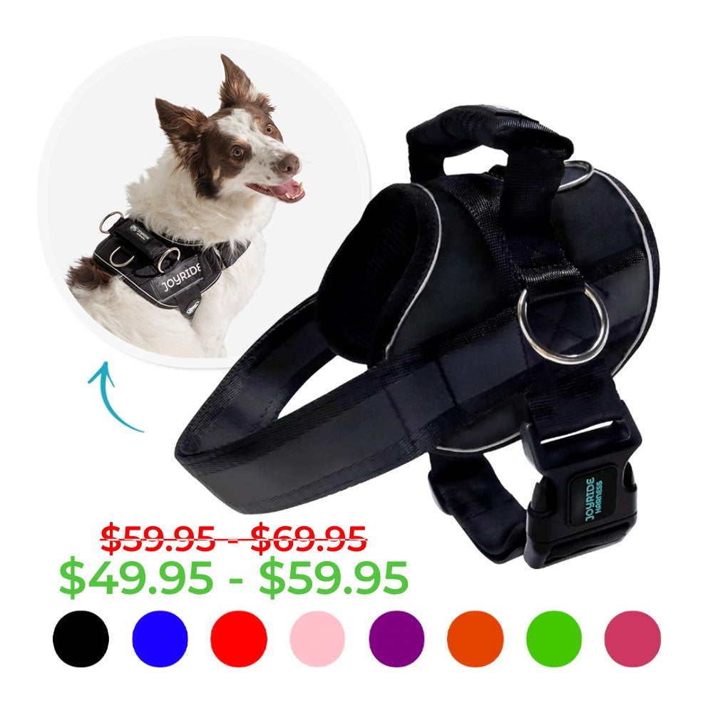 dog harness with handle