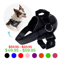 dog harness with handle