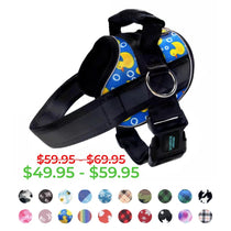 Joyride Premium Advanced Dog Harness 2.0 (Patterns)