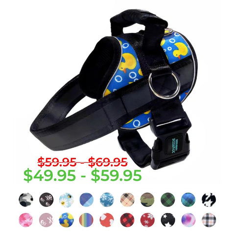 Joyride Premium Advanced Dog Harness 2.0 (Patterns)
