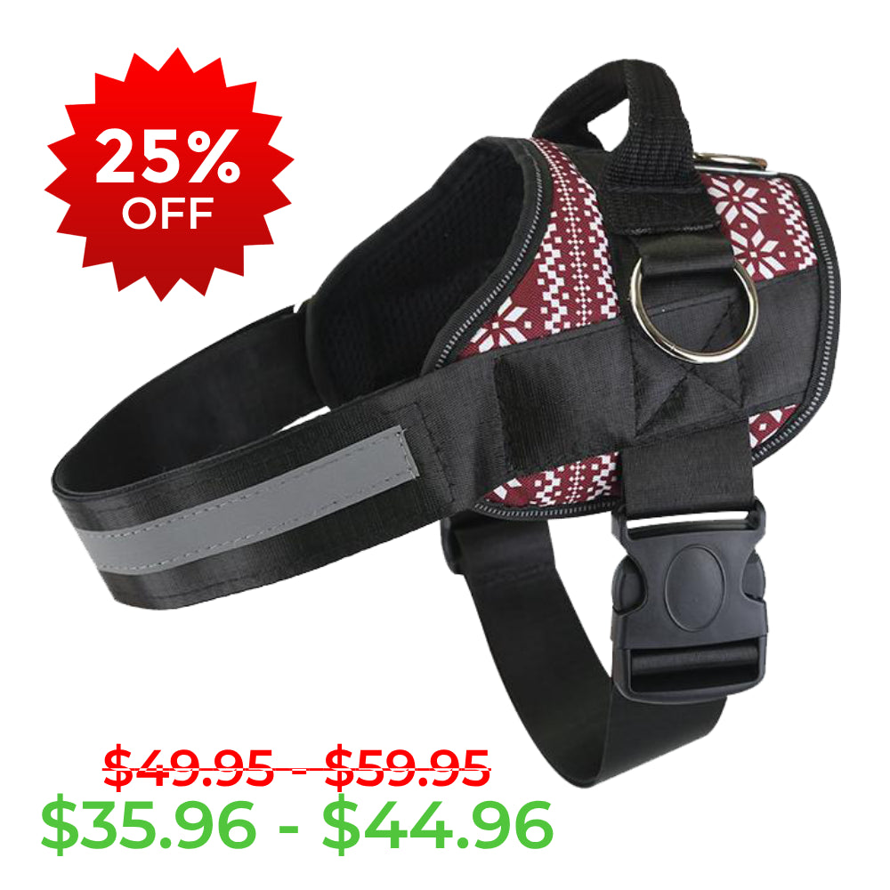 Holiday Sweater Joyride Basic Essential Dog Harness 1.0