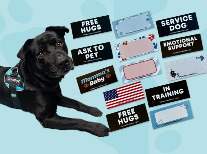 Free Custom Name Tags for 2.0 Harnesses PDF - 13 Tags Included ( -$19.95)