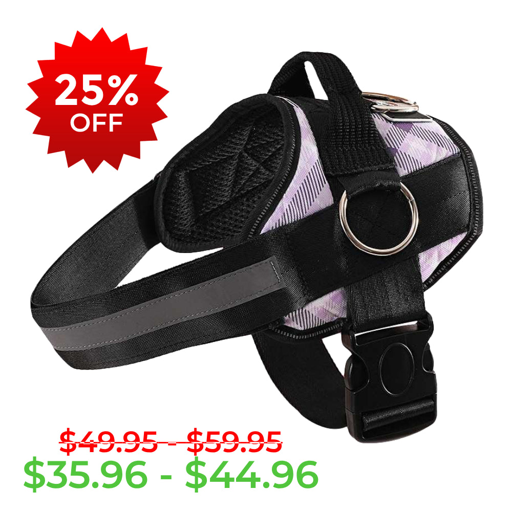 Lavender Plaid Joyride Basic Essential Dog Harness 1.0