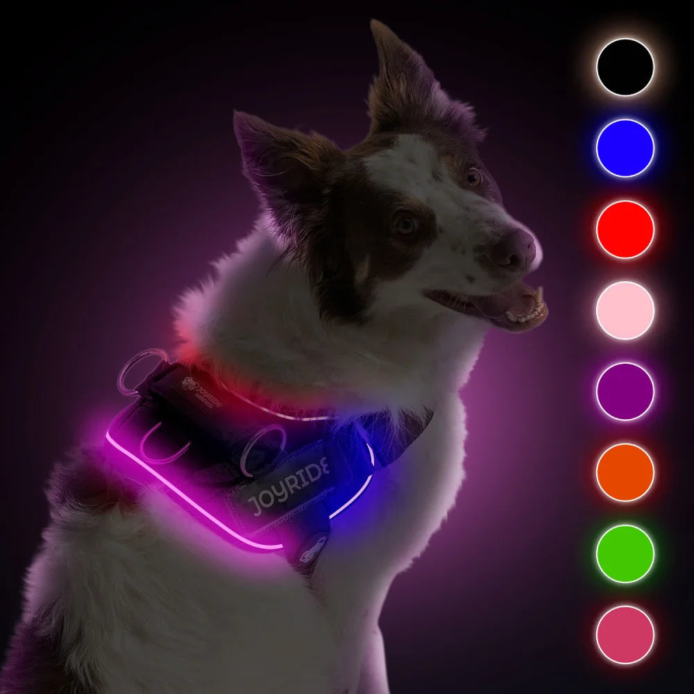 NEW! NightSafe LED Light Up Dog Harness 2.0